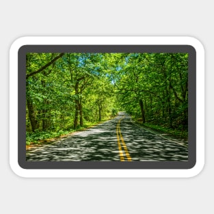 Race Point Road Cape Cod Sticker